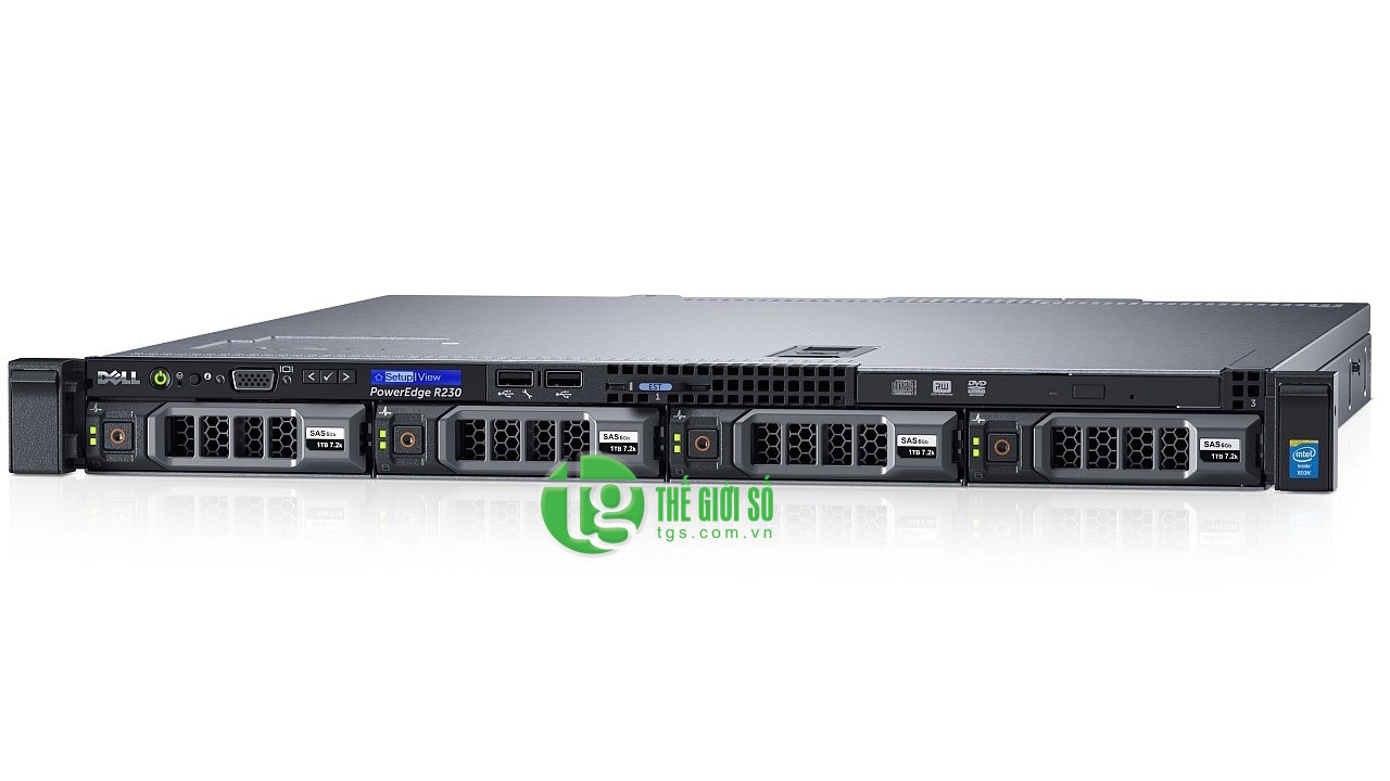 MÁY CHỦ DELL POWEREDGE R230 E3-1280 V5